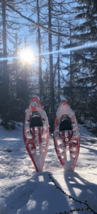 Snow shoes