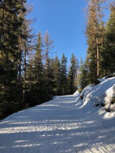 Self Isolation in Sainte Foy