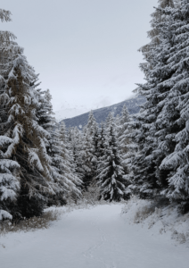 Snowy track in Sainte Foy Tarentaise