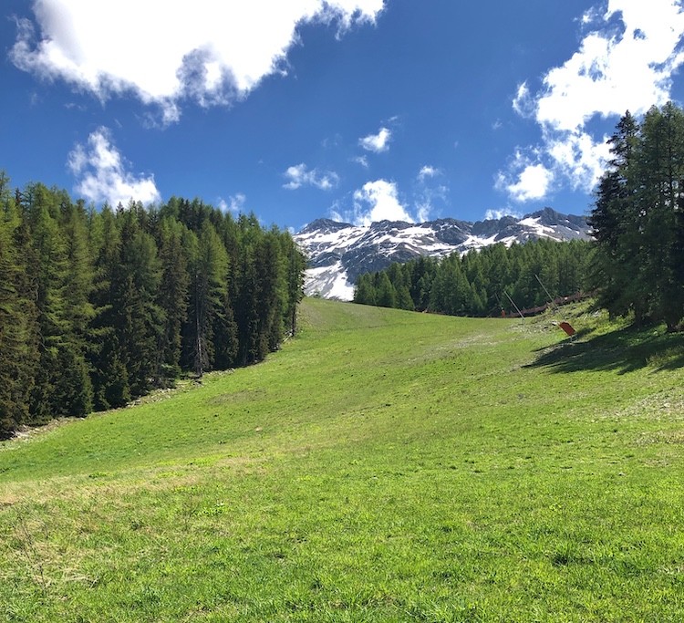 Top of Arpettaz Piste in Sainte Foy