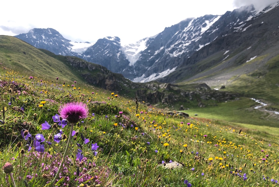 Electric biking in Sainte Foy