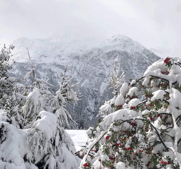 First snow in Sainte Foy