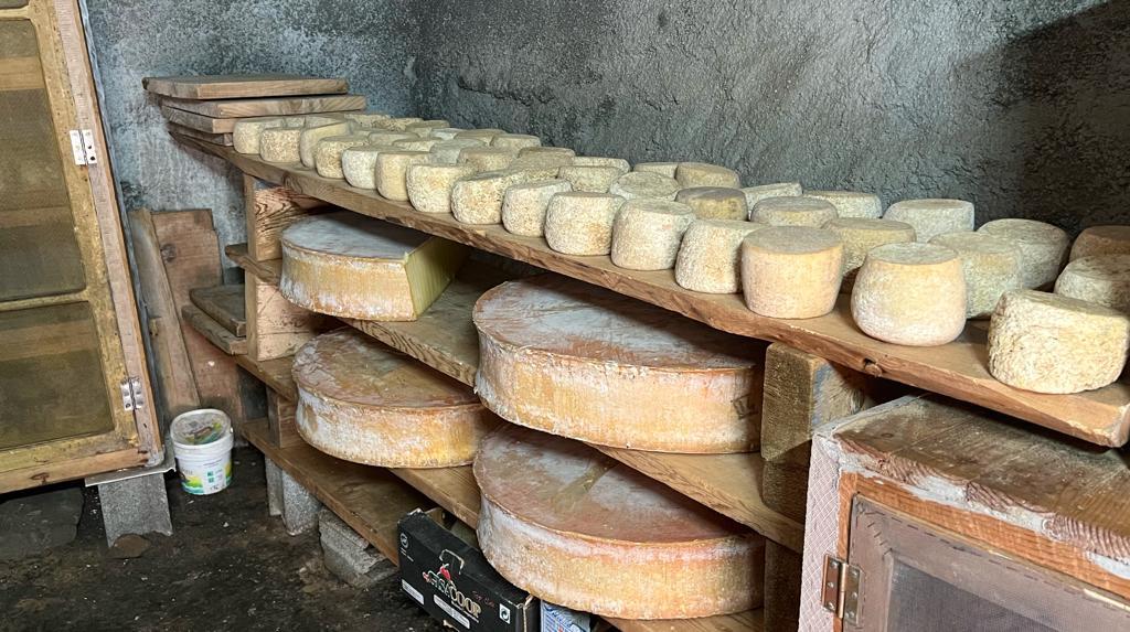 Fromage for sale in Sainte Foy
