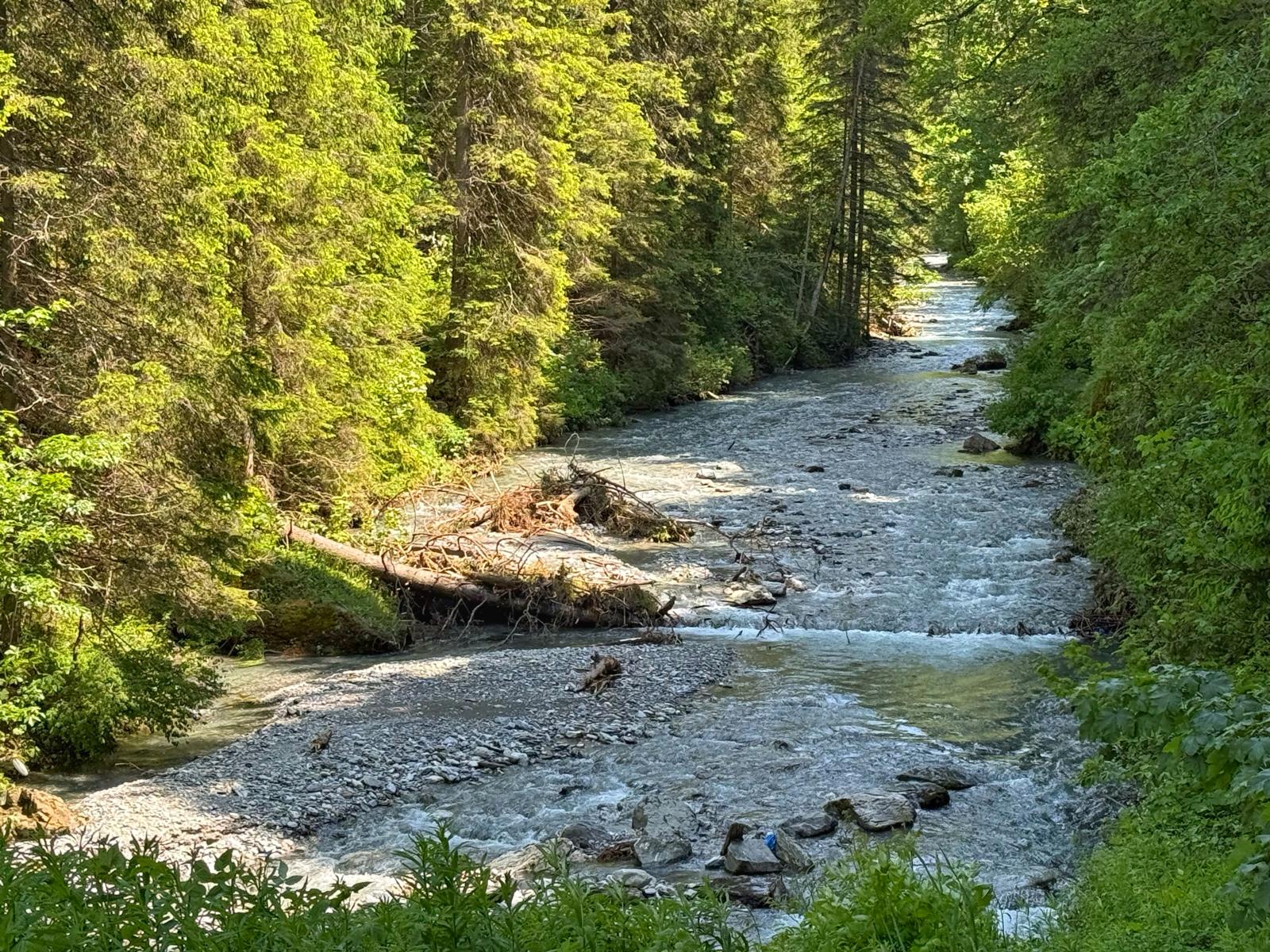 Crossing the Isère on the way to La Gurraz